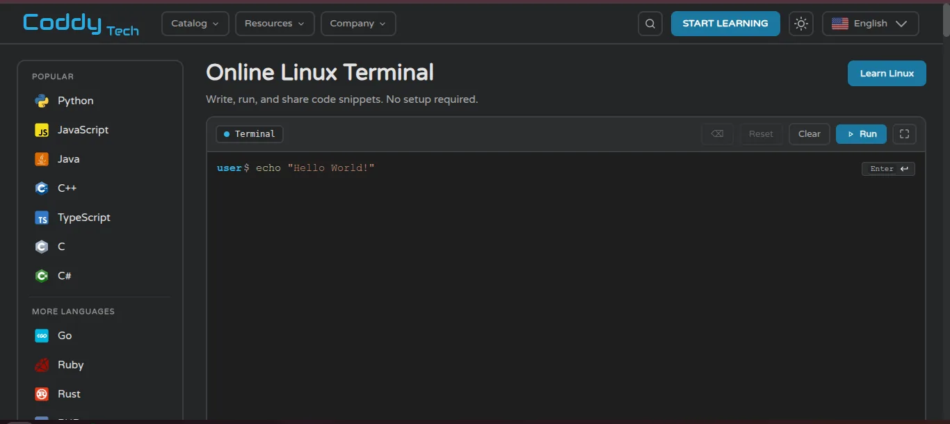 Coddy online Linux terminal